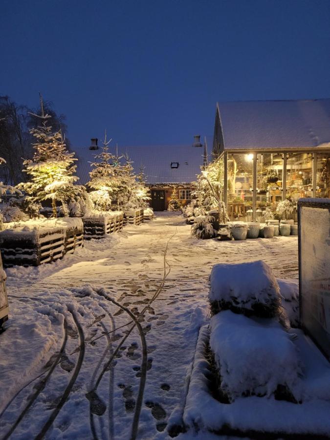 Det Bla Gaestehus Fanø Exterior foto